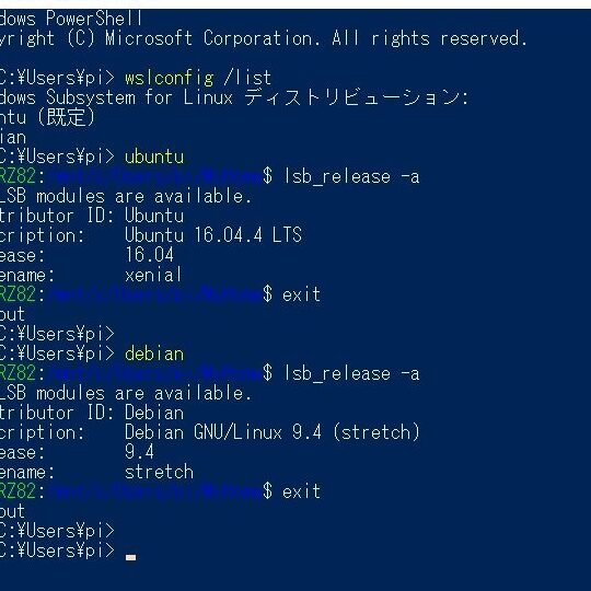 WSL Linuxディストリビューションの起動方法 | ある計算機屋さんの手帳
